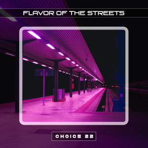 อัลบัม Flavor of the Streets Choice 22 ศิลปิน Frenk Mc