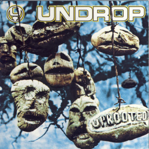 ดาวน์โหลดและฟังเพลง Lion พร้อมเนื้อเพลงจาก Undrop