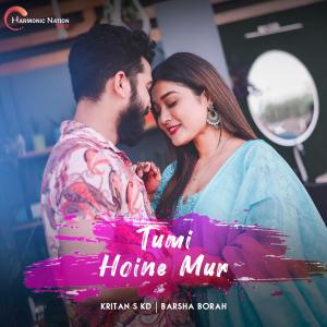 Listen to Tumi Hoine Mur song with lyrics from Kritan S KD