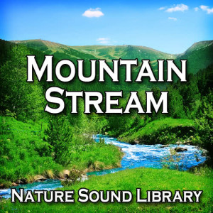Nature Sound Library的專輯Mountain Stream (Nature Sounds for Deep Sleep, Relaxation)