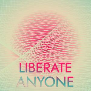 อัลบัม Liberate Anyone ศิลปิน Various