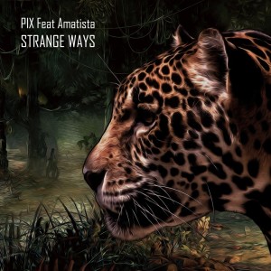 收聽PIX.的Strange Ways (Elegant Ape Remix)歌詞歌曲