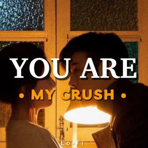 Album You Are My Crush (Lofi) from Quân AP