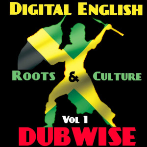 Listen to Fire Dub song with lyrics from Lin Strong