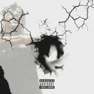 Butta的專輯Zodiac Mixtape (Explicit)