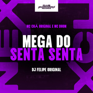 Album Mega do Senta Senta (Explicit) from Mc Chá Original