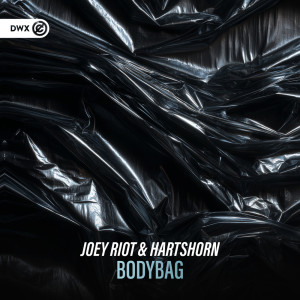 收聽Joey Riot的Bodybag歌詞歌曲