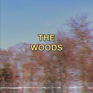 收聽Titus The Titan的The Woods (Explicit)歌詞歌曲