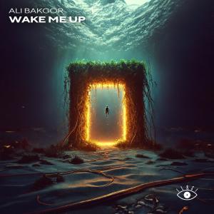 Ali Bakgor的專輯Wake Me Up