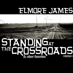 ดาวน์โหลดและฟังเพลง Rolling And Tumbling พร้อมเนื้อเพลงจาก Elmore James