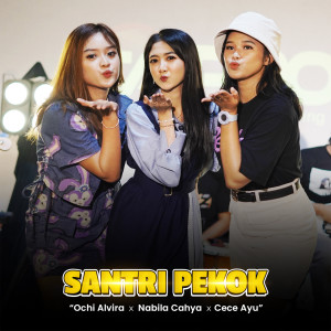 Listen to Santri Pekok (Live Version) song with lyrics from Ochi Alvira