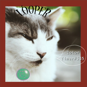 Album COLOR TIMER #335 from 