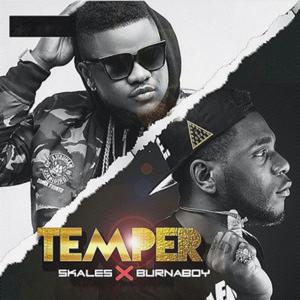 Album Temper (Remix) from Skales