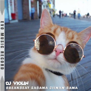 Album Breakbeat Sabana Ciinan Bana oleh DJ Violin