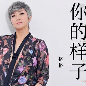 收聽格格的你的樣子 (DJheap九天版)歌詞歌曲