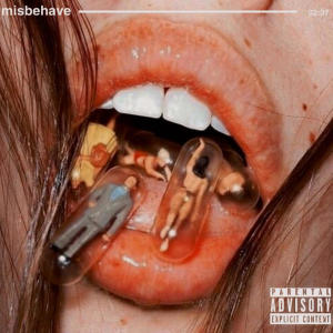 ดาวน์โหลดและฟังเพลง misbehave พร้อมเนื้อเพลงจาก BambyH2O