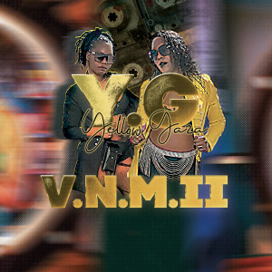 Listen to V.N.M II song with lyrics from Yellow Gaza