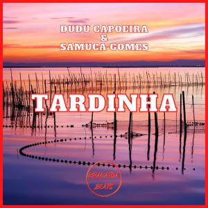 Dudu Capoeira的专辑Tardinha