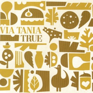 收聽Via Tania的True (New Version)歌詞歌曲
