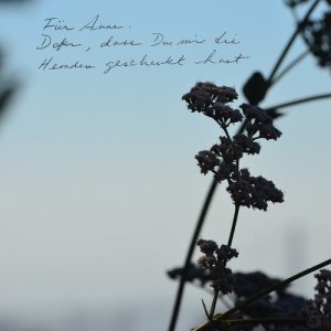 ดาวน์โหลดและฟังเพลง Just Once พร้อมเนื้อเพลงจาก Lyell Evans Roeder
