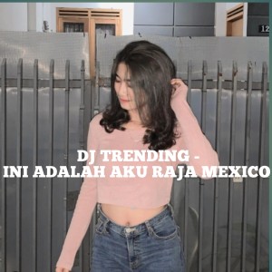 Listen to DJ TRENDING - Ini Adalah Aku Raja Mexico song with lyrics from DJ Bavis