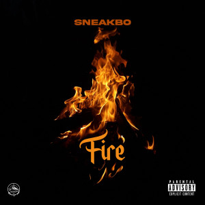 Album Fire (Explicit) from Sneakbo