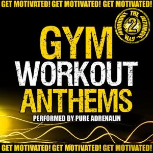 Pure Adrenalin的專輯Gym Workout Anthems, Vol. 2