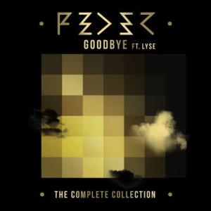 收聽Feder的Goodbye (feat. Lyse) (Hugel Remix)歌詞歌曲