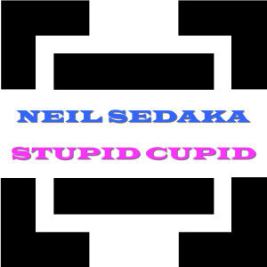 ดาวน์โหลดและฟังเพลง Stupid Cupid พร้อมเนื้อเพลงจาก Neil Sedaka