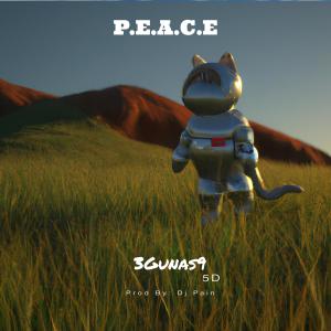 3gunas9的專輯P.E.A.C.E (feat. DJ Pain)