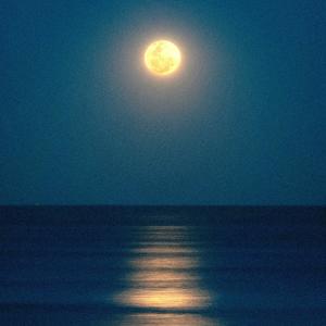 Album moonlight oleh Damien Sebe