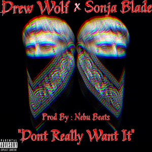 Listen to Don’t Really Want It (Explicit) song with lyrics from DREW WOLF