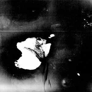 Listen to Please Stay song with lyrics from Ella van der Woude