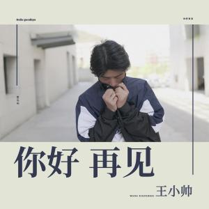 Album Ni Hao Zai Jian from 王小帅