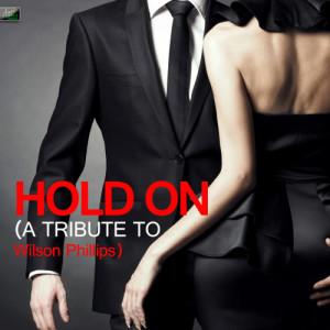收聽Ameritz Tribute Standards的Hold On歌詞歌曲