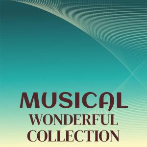 Various的专辑Musical Wonderful Collection
