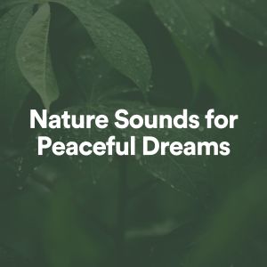 Dengarkan Nature Sounds for Peaceful Dreams, Pt. 14 lagu dari Essential Nature Sounds dengan lirik