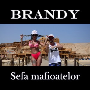 Album Sefa mafioatelor from Brandy