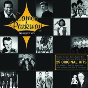 ดาวน์โหลดและฟังเพลง Let's Twist Again พร้อมเนื้อเพลงจาก Chubby Checker