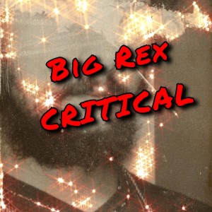 ดาวน์โหลดและฟังเพลง Critical (Explicit) พร้อมเนื้อเพลงจาก Big Rex
