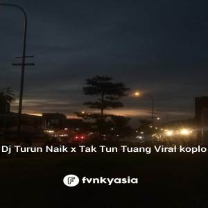 อัลบัม DJ SLOW TURUN NAIK X TAK TUN TUANG X BURN KOPLO ศิลปิน Aldi Music