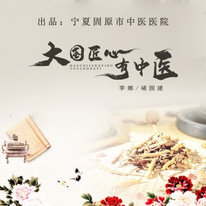 Listen to 大国匠心有中医 (伴奏) song with lyrics from 李娜