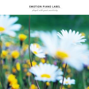 Album A longing letter written in music (healing piano best) from Various Artists