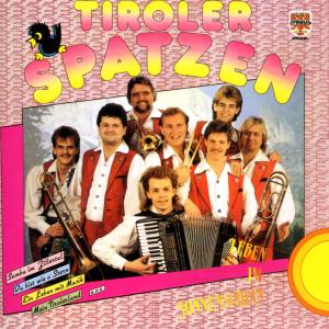 Listen to Ein Leben mit Musik song with lyrics from Original Tiroler Spatzen