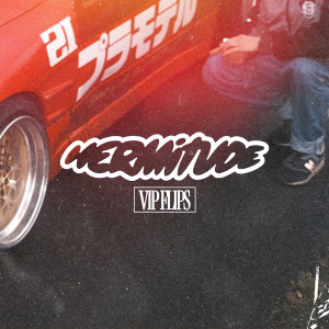 Dengarkan The Buzz (VIP Flip) lagu dari Hermitude dengan lirik