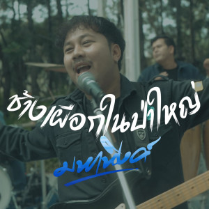Listen to ช้างเผือกในป่าใหญ่ song with lyrics from เอ มหาหิงค์