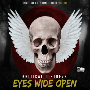 Kritical Distrezz的專輯Eyes Wide Open