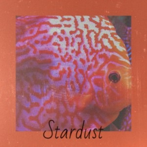 Hoagland Howard Carmichael的专辑Stardust