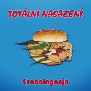 收聽Totální nasazení的Weekend punk歌詞歌曲