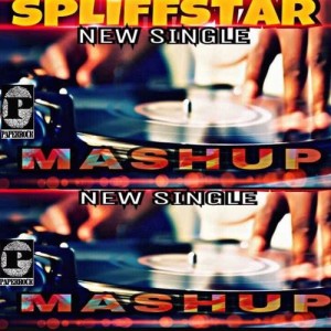 Spliff Star的專輯Mash Up (Explicit)